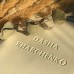 Блокнот з тисненням "Individual Text"