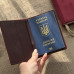 Іменна обкладинка на паспорт з велюру.